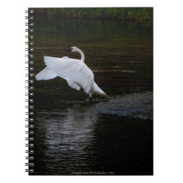Cuaderno Trumpeter Swan