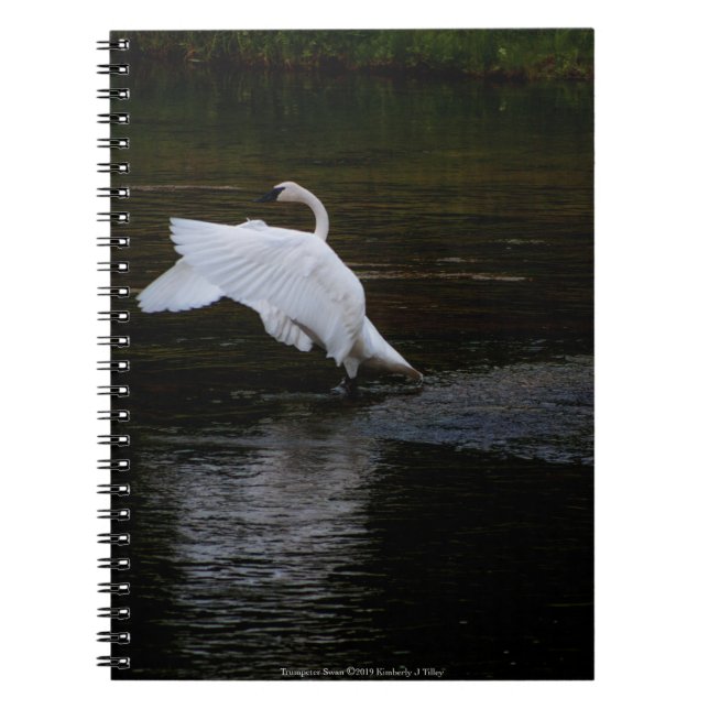 Cuaderno Trumpeter Swan (Frente)