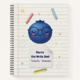 Cuaderno ¡Tú eres el que escribe! - Apreciación educativa