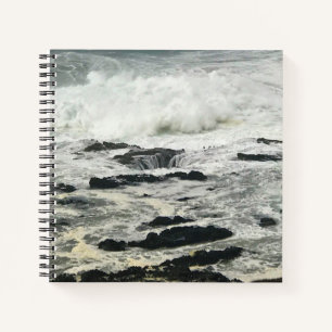 Cuaderno Tu está bien, Cabo Perpetua, Costa de Oregón