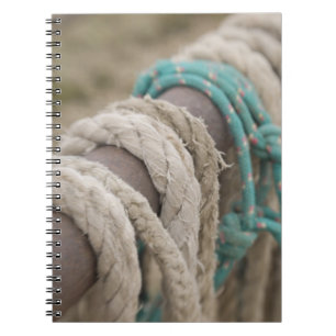 Cuaderno Tucson, Arizona: Cuerdas y arneses utilizados en