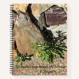 Cuaderno Tucson-Mt Lemmon