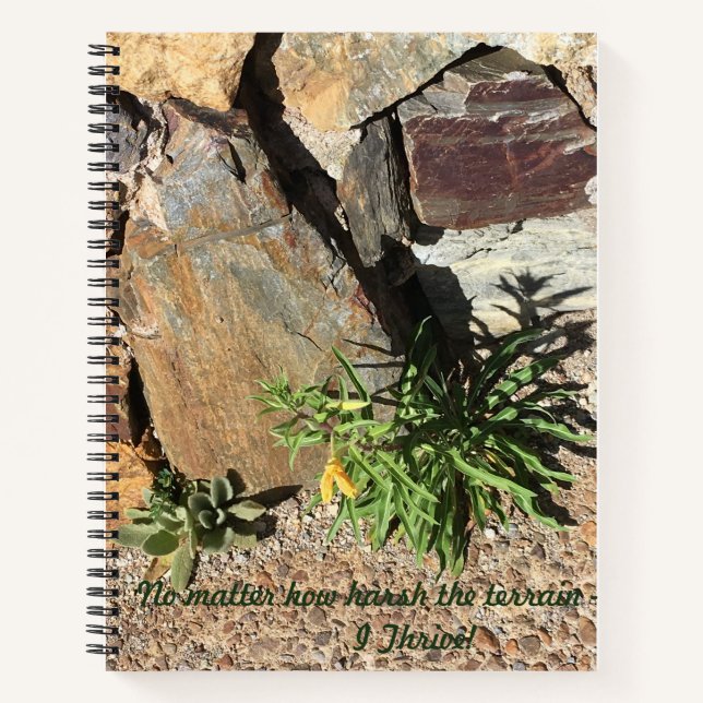 Cuaderno Tucson-Mt Lemmon (Anverso)