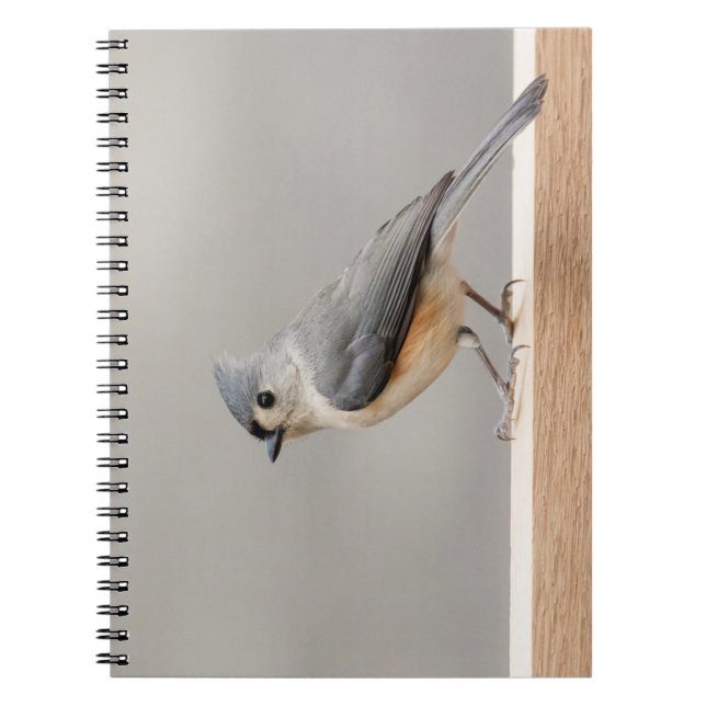 Cuaderno Tufted Titmouse (Frente)
