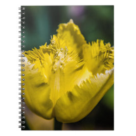 Cuaderno Tulip amarillo
