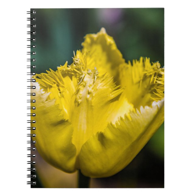 Cuaderno Tulip amarillo (Frente)