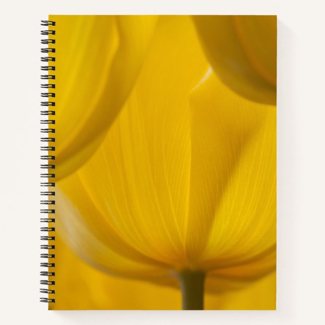 Cuaderno Tulip amarillo (Anverso)