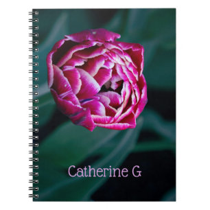 Cuaderno Tulip de moody rosa