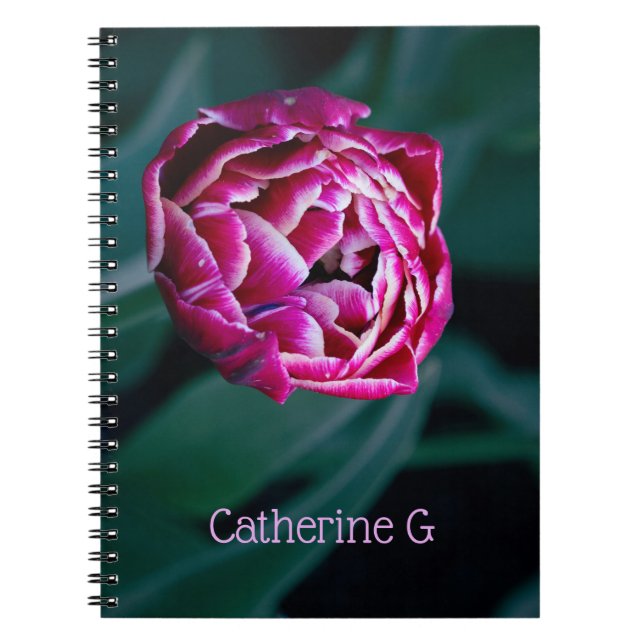 Cuaderno Tulip de moody rosa (Frente)