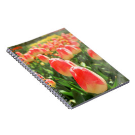Cuaderno Tulip Heaven