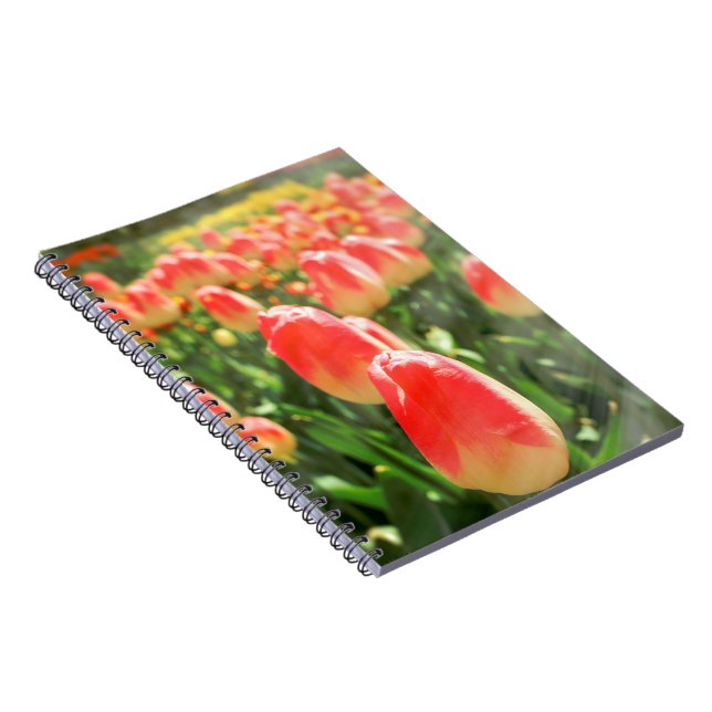 Cuaderno Tulip Heaven (Lado Derecho)