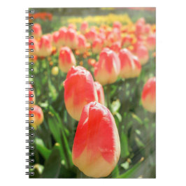 Cuaderno Tulip Heaven
