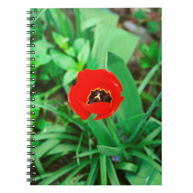 Cuaderno Tulip rojo (Frente)