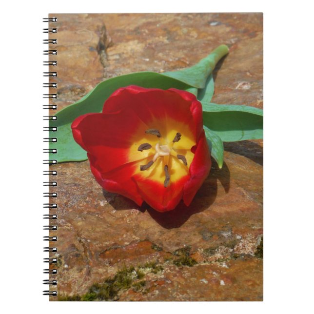 Cuaderno Tulip rojo primavera (Frente)