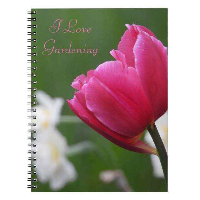 Cuaderno Tulip rosa (Frente)
