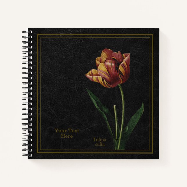 Cuaderno Tulip (Tulipa culta) Black Notebook (Anverso)