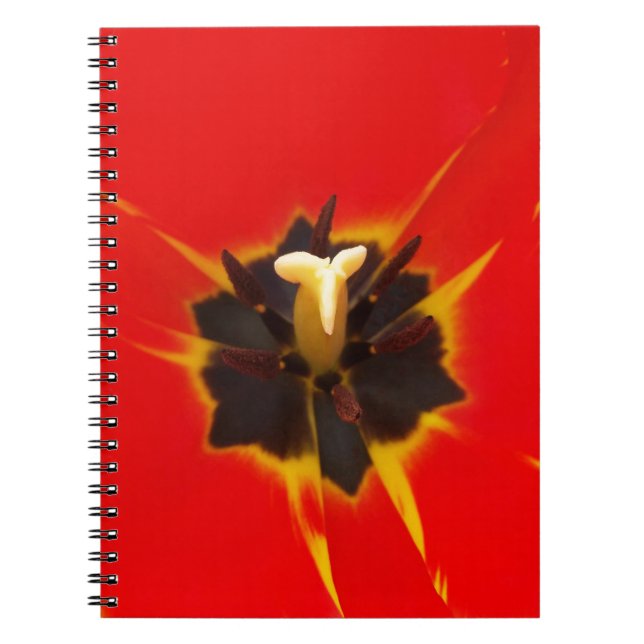 Cuaderno tulipán amarillo rojo (Frente)