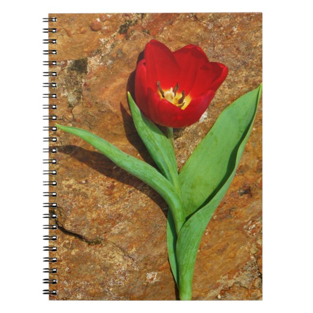 Cuaderno Tulipán amarillo y rojo (Frente)
