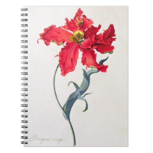 Cuaderno Tulipán: Colorete de Perroquet