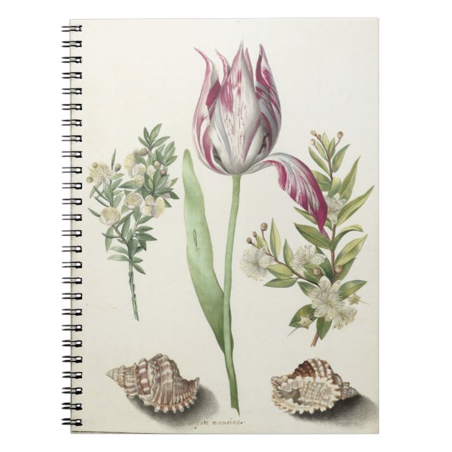 Cuaderno Tulipán, dos ramas de la postal Myrtle (Frente)