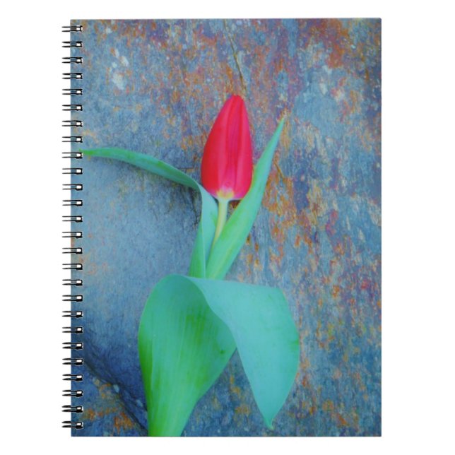 Cuaderno Tulipán rojo sobre pizarra gris azul (Frente)