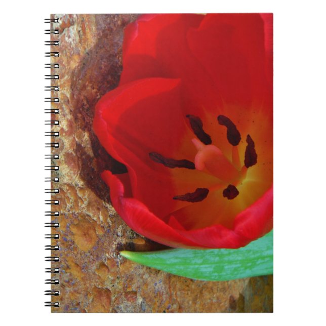 Cuaderno Tulipán rojo y amarillo primavera (Frente)