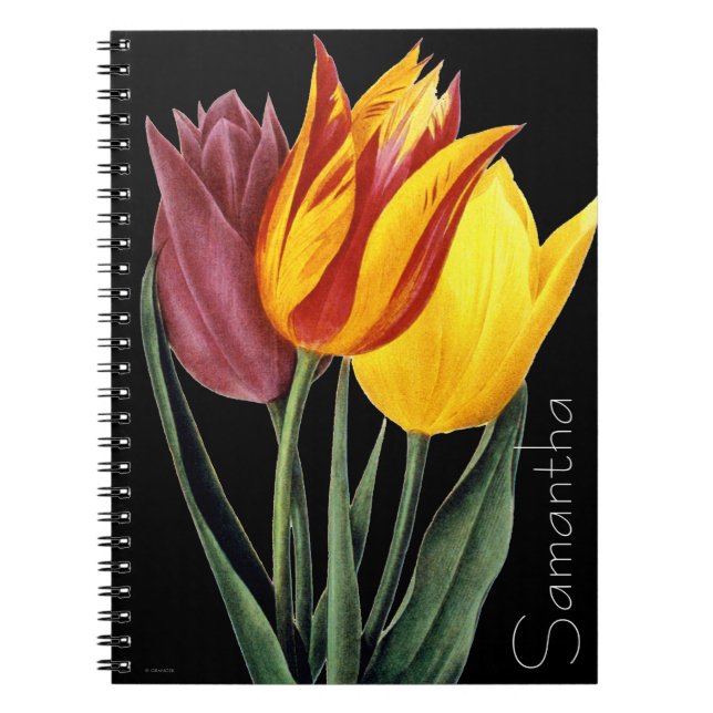 Cuaderno Tulipán (Tulipa Gesneriana) (Frente)