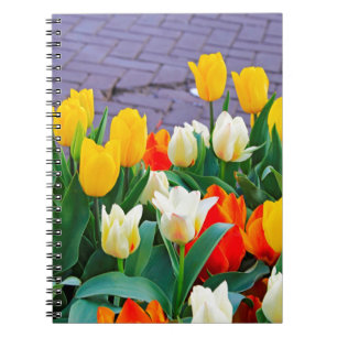 Cuaderno Tulipanes