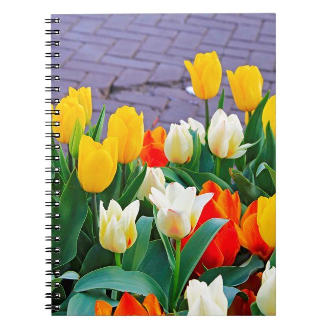 Cuaderno Tulipanes (Frente)
