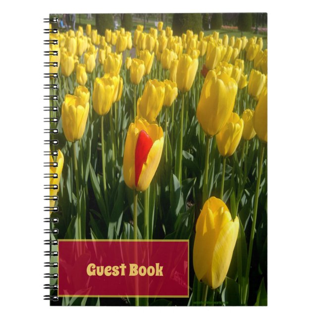 Cuaderno Tulipanes amarillos (Frente)