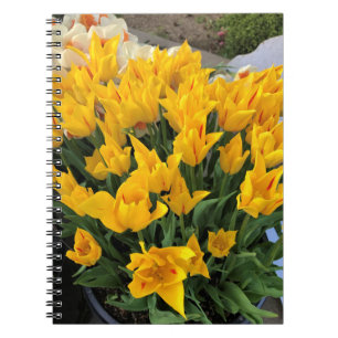 Cuaderno Tulipanes amarillos únicos