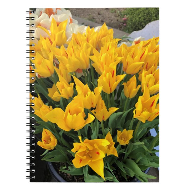 Cuaderno Tulipanes amarillos únicos (Frente)