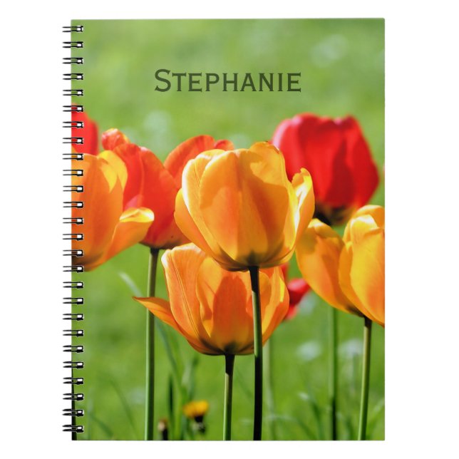 Cuaderno Tulipanes amarillos y rojos (Frente)