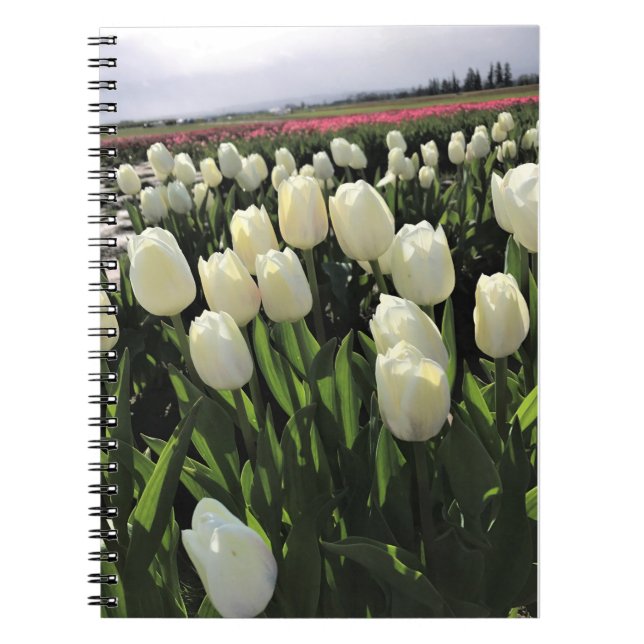 Cuaderno Tulipanes blancos en un campo, Oregón (Frente)