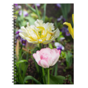Cuaderno Tulipanes blancos, rosas y amarillos en el jardín