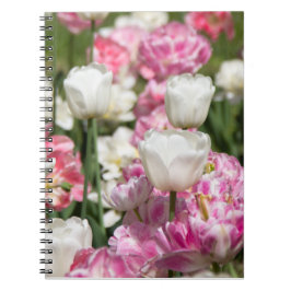 Cuaderno Tulipanes blancos y rosas brillantes en un día sol