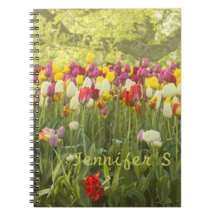 Cuaderno Tulipanes coloridos en un parque personalizado