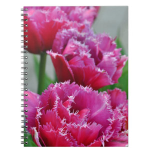 Cuaderno Tulipanes de loro rosa