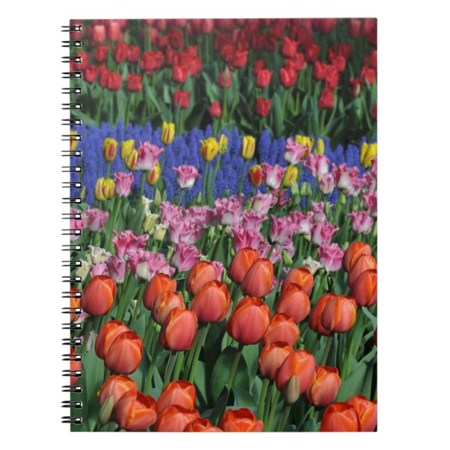 Cuaderno Tulipanes de primavera coloridos (Frente)