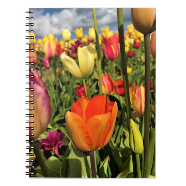 Cuaderno Tulipanes de primavera coloridos (Frente)