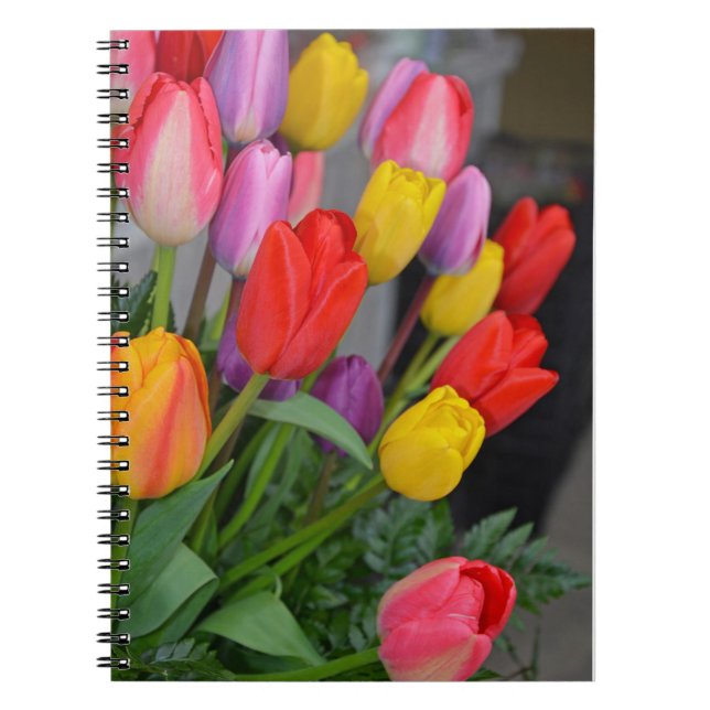 Cuaderno Tulipanes de primavera coloridos (Frente)