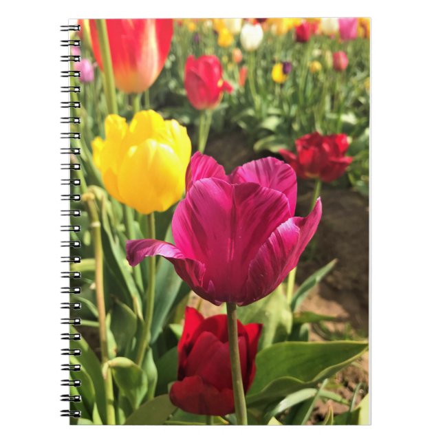 Cuaderno Tulipanes de primavera, Oregón (Frente)