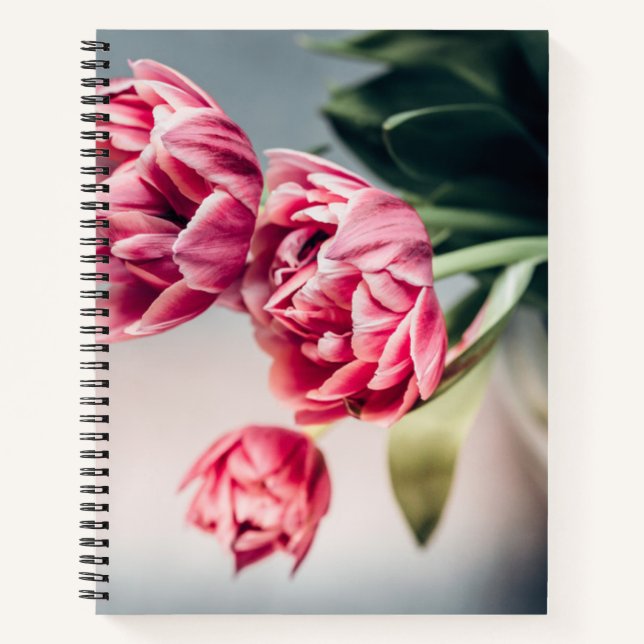 Cuaderno Tulipanes en una vesícula (Anverso)