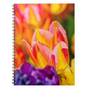 Cuaderno Tulipanes Encantadores