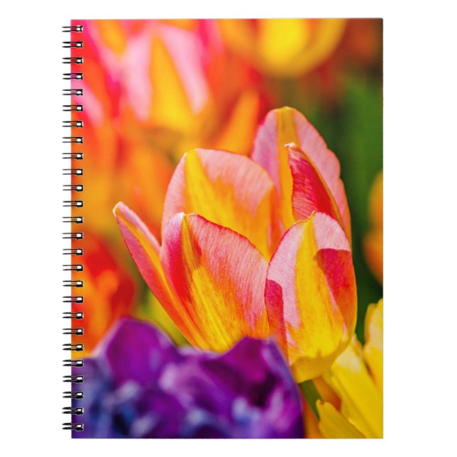 Cuaderno Tulipanes Encantadores (Frente)