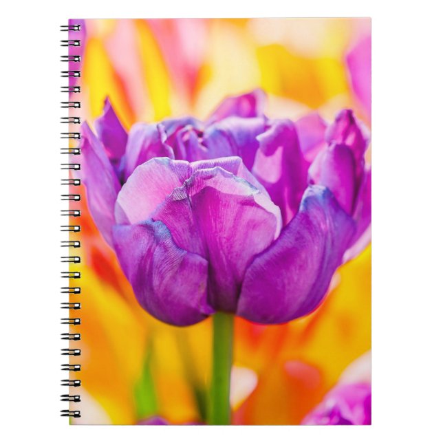 Cuaderno Tulipanes Encantadores 06 (Frente)