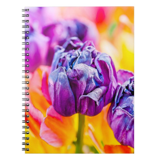 Cuaderno Tulipanes encantadores 14 (Frente)