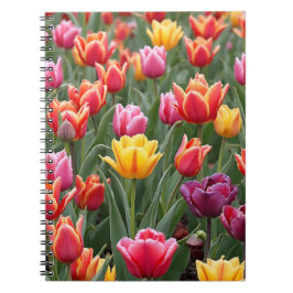 Cuaderno Tulipanes holandeses