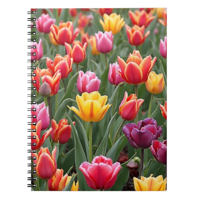 Cuaderno Tulipanes holandeses (Frente)