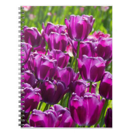 Cuaderno Tulipanes lilacos brillantes en un día soleado